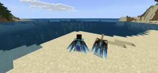 Draco Elytra Wings