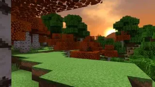 Autumn Birch