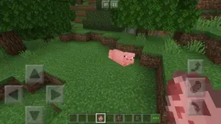 Weird Creature Animations Textures