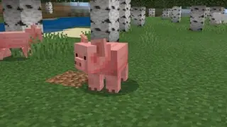 New Mob Models Textures