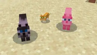 Nice Cats Textures