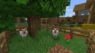 Better Chickens Textures