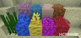 Corals+ Textures