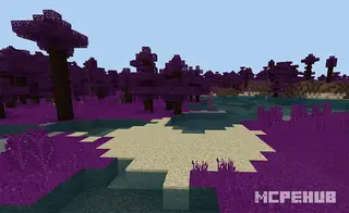 SG Rainbow Environments Textures