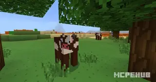 AkemiTexture BETA