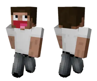 Happy Steve Skin