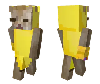 Cat in Banana Skin