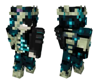 Warden Warrior Skin