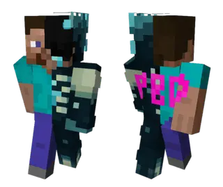 Steve Warden Skin