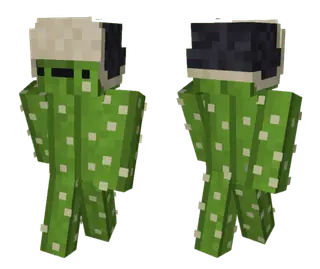 Cactus Man Skin