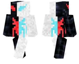 Black and White Spider Skin