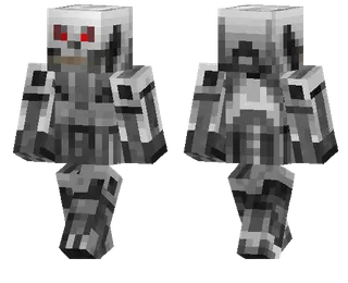 Terminator Skin