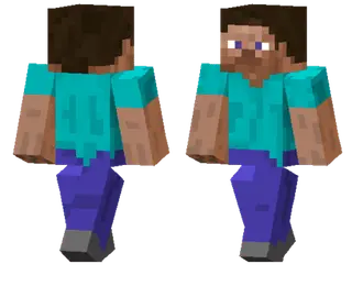 Reverse Steve Skin