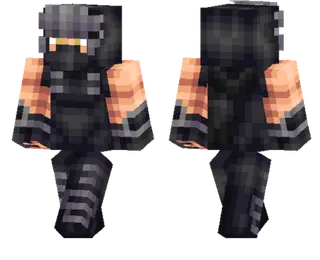 Ryu Hayabusa Skin