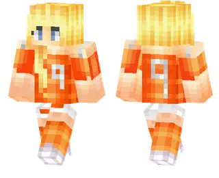 Netherlands Fan Skin