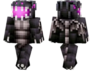 Ender Dragon Skin