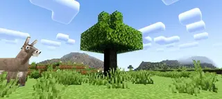 Newb Complementary Shaders