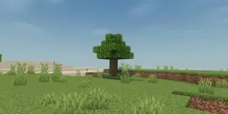 Newb Shaders