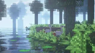 BSL Shaders