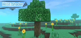 IRISE Shaders