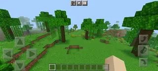 Graphic Shaders