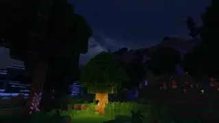 Zebra Shaders