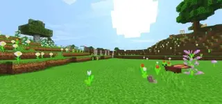 Hero Shaders