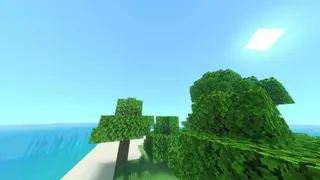 Salmon Shaders