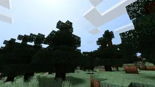 LBPE Shaders