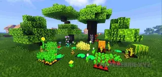 EB SHADER