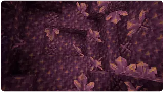 Ready Crops + Texture Pack