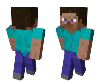 Steve Backwards Skin
