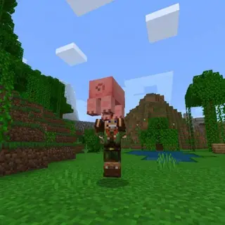 Pick Up & Carry Mod for Minecraft