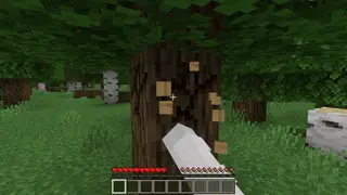 Raiyon's Tree Capitator Mod