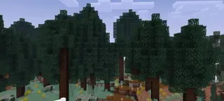 Biomes O' Discovery
