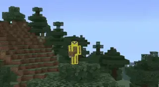 ReplayCraft