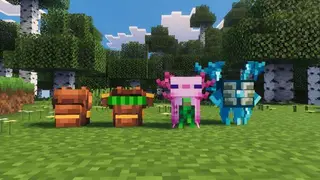 Better Backpacks 2