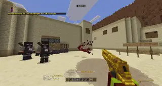 Terrorist NPC