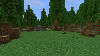 Better on Bedrock Beta