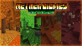 Nether Biomes Expansion