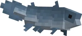 Mc Ark