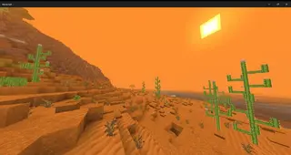 Disastrous Dunes