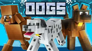 Dogs 2