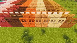 Complement Doors