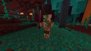 Old Pigman Plus