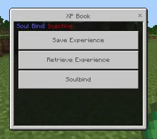 True Experience Book
