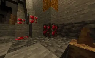 Heart Tank