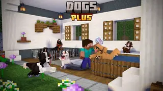 Dogs Plus