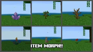 Item Morph