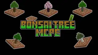 Bonsai Tree